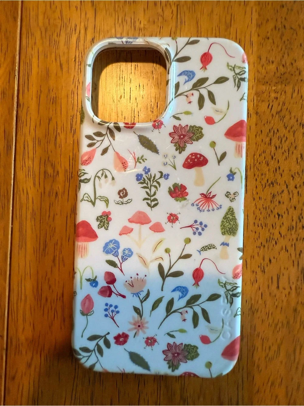 iPhone 13 Pro Max cases!